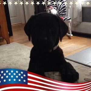 Meet your Posher, Lynn